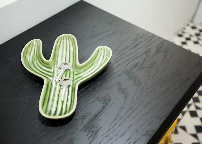 Get A Cactus And Books Studio