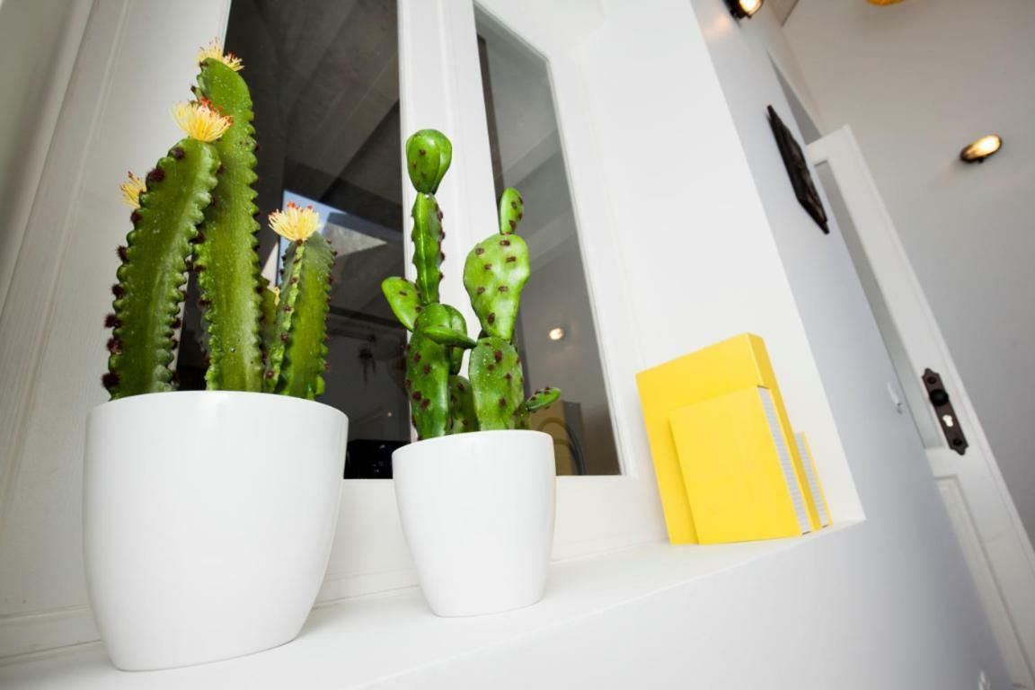 Get A Cactus And Books
